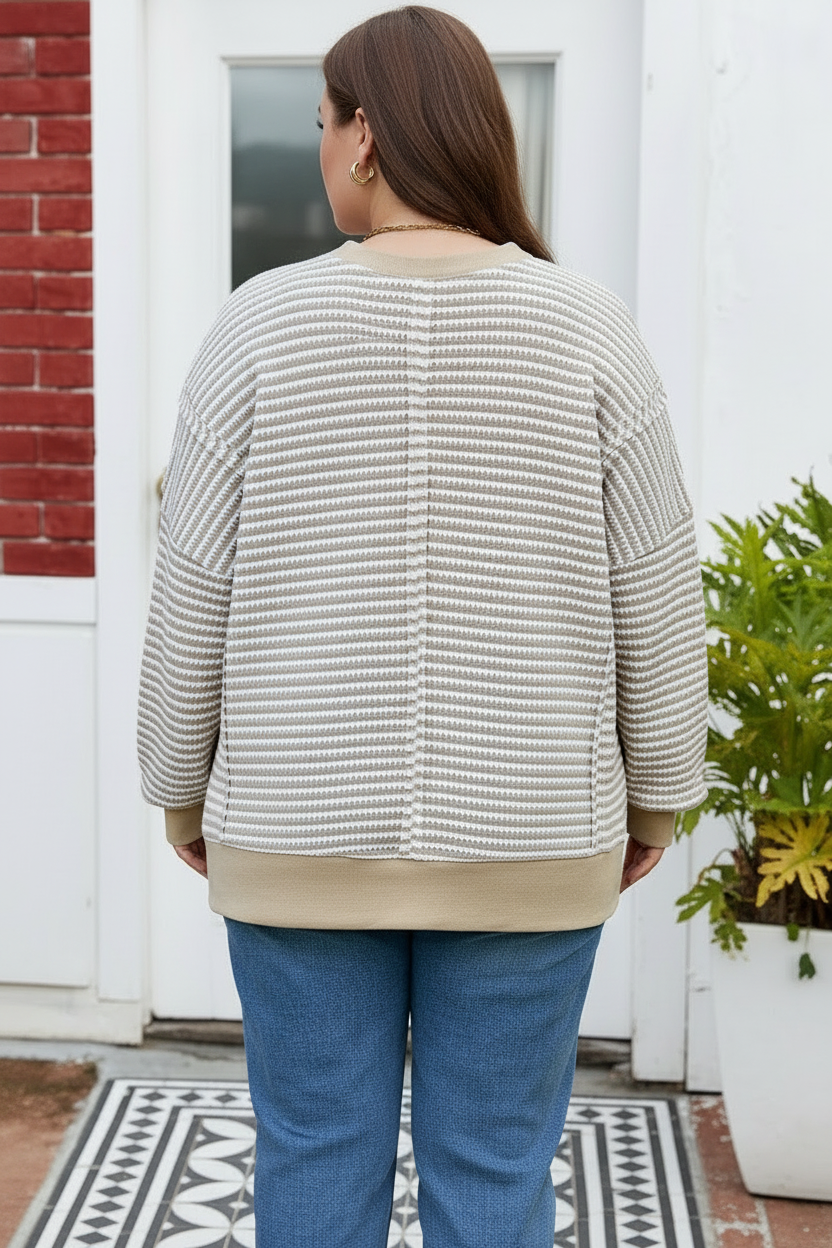 Brown Stripe Plus Size Breathable Knit Ribbed Trim Long Sleeve Top