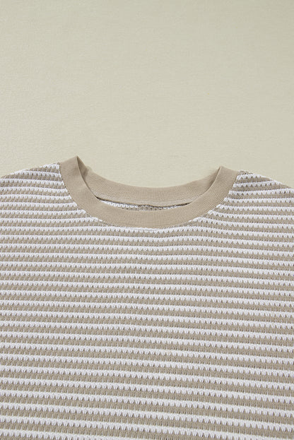 Brown Stripe Plus Size Breathable Knit Ribbed Trim Long Sleeve Top