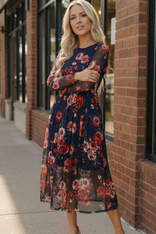 Rosy Romance Mesh Dress